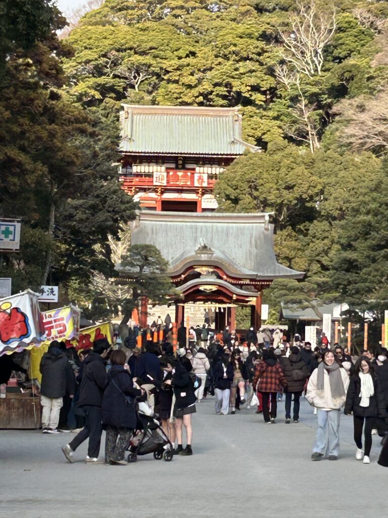 現在の画像に代替テキストがありません。ファイル名: 20260108_052611110_iOS-scaled.jpg