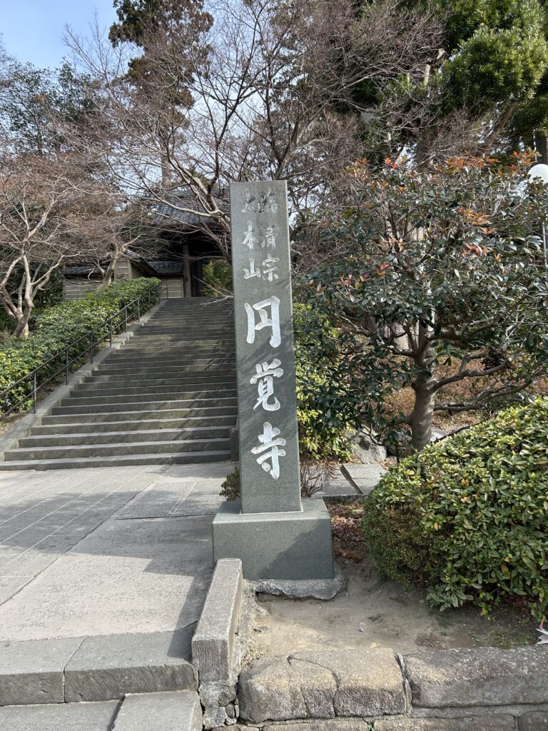 現在の画像に代替テキストがありません。ファイル名: 20260115_021132154_iOS-1-scaled.jpg