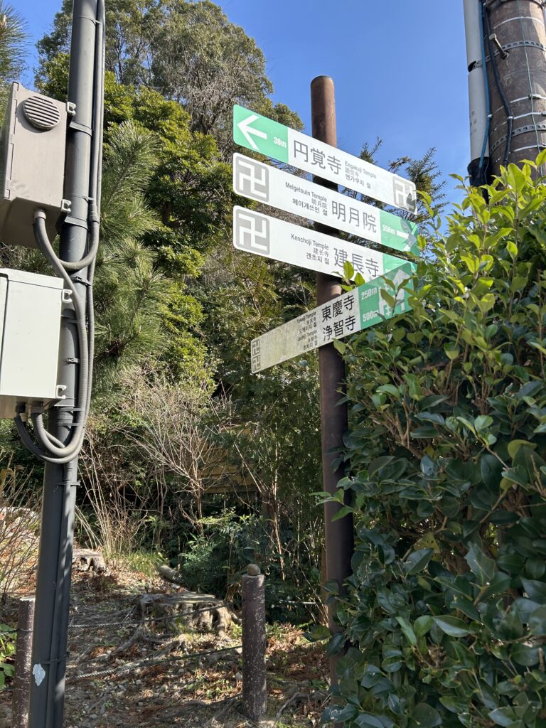 現在の画像に代替テキストがありません。ファイル名: 20260115_030219610_iOS-scaled.jpg