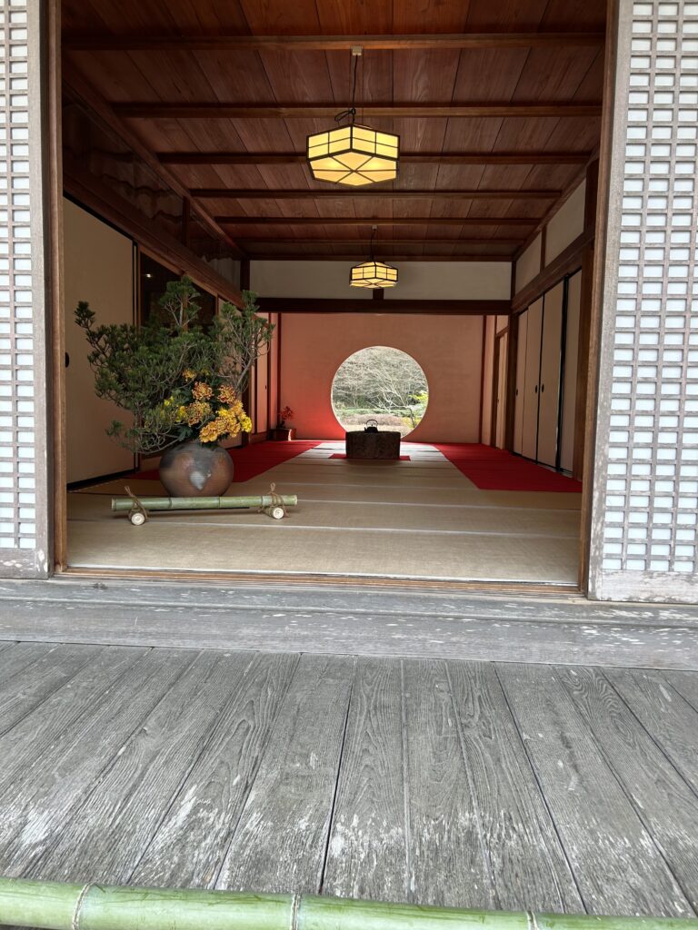 現在の画像に代替テキストがありません。ファイル名: 20260115_033831417_iOS-scaled.jpg