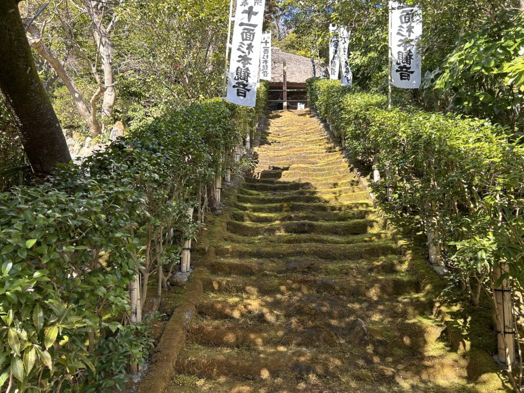 現在の画像に代替テキストがありません。ファイル名: 20260219_042935605_iOS-scaled.jpg